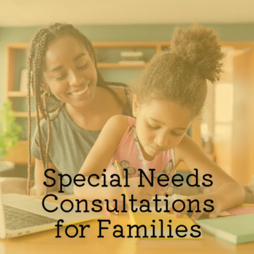 Special Needs Consultation for Homeschooling Families
