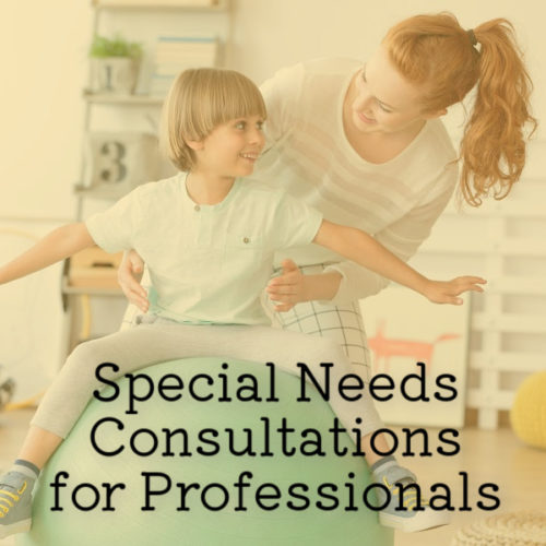 Special Needs Consultation for Professionals