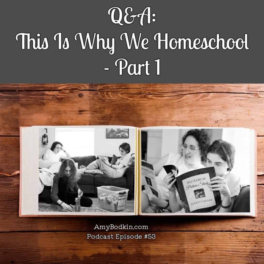 This is why we homeschool-1