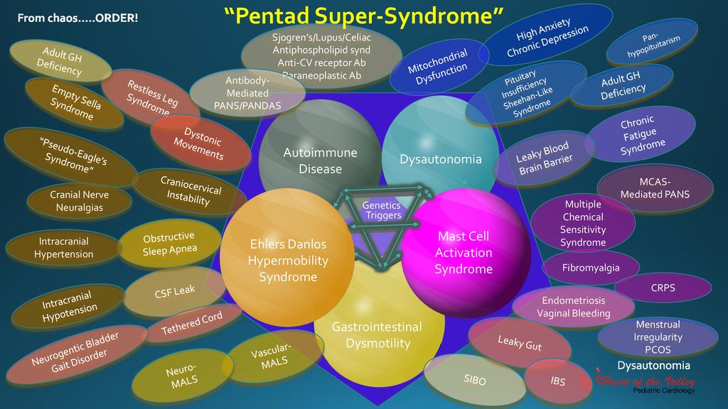 From chaos…..ORDER! High Anxiety. Chronic Depression. Sjogren’s/Lupus/Celiac. Antiphospholipid synd. Anti-CV receptor Ab. Paraneoplastic Ab. Pan-hypopituitarism. Adult GH Deficiency. Mitochondrial Dysfunction. Antibody-Mediated PANS/PANDAS. Pituitary Insufficiency. Sheehan-Like Syndrome. Adult GH Deficiency. Restless Leg Syndrome. Empty Sella Syndrome. Dysautonomia. Autoimmune. Disease. Chronic Fatigue Syndrome. Dystonic Movements. Pseudo-Eagle’s Syndrome Leaky Blood Brain Barrier. MCAS-Mediated PANS. Craniocervical Instability. Cranial Nerve Neuralgias. Ehlers Danlos. Hypermobility Syndrome. Mast Cell Activation Syndrome. Genetics. Multiple Chemical Sensitivity Syndrome. Triggers. Obstructive Sleep Apnea. Intracranial Hypertension. Fibromyalgia. Gastrointestinal. Dysmotility. CSF Leak. CRPS. Intracranial Hypotension. Endometriosis. Vaginal Bleeding. Tethered Cord. Leaky Gut. Menstrual Irregularity. PCOS. Neurogentic Bladder. Gait Disorder. Vascular- MALS. Neuro- MALS. SIBO. IBS. Dysautonomia. POTS