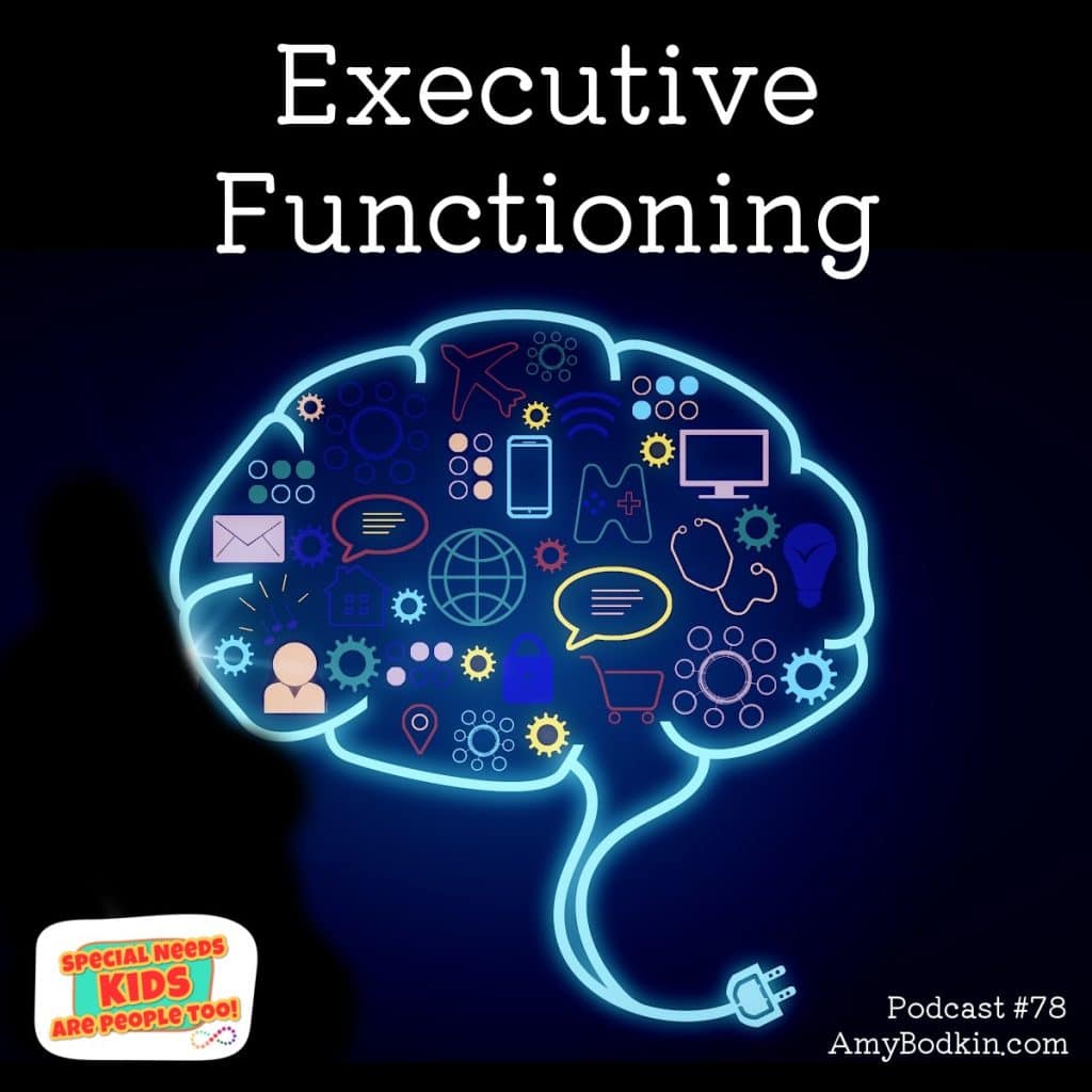 Executive Functioning