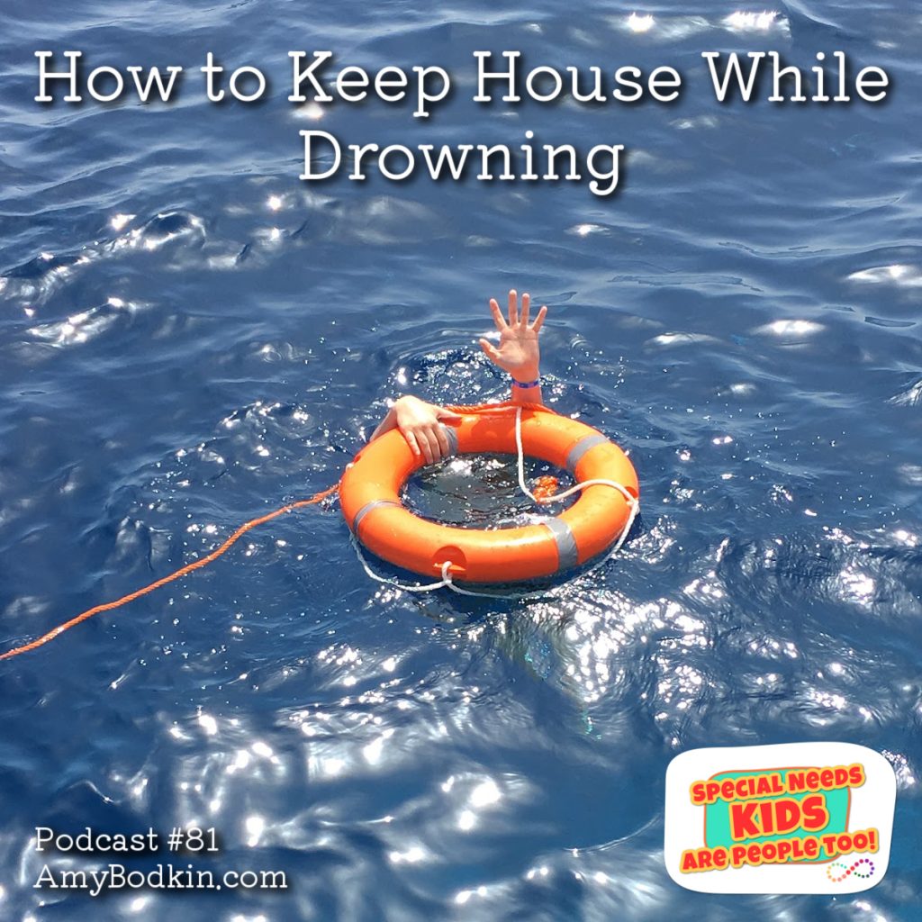 How to Keep House While Drowning